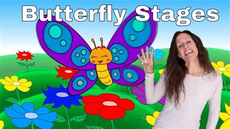 butterfly colors song 2|the butterfly dance songs.